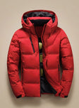 Edward - Moderne Gewatteerde Winterjas